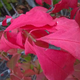 Illustration for article titled 48 Photos Of Autumn Around The World